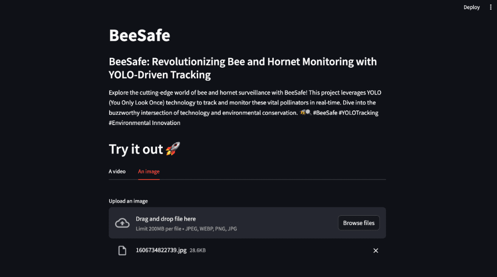 Hornet Detection Front Page