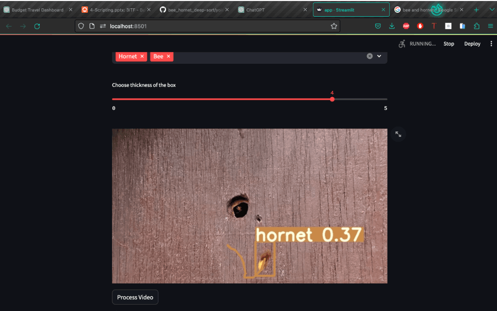 Hornet Detection Sample 1